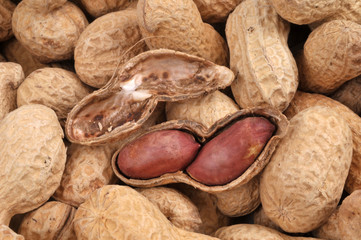 La cacahuète ouverte 