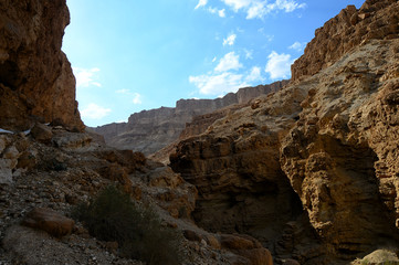 Fototapeta premium The Negev Desert in Israel