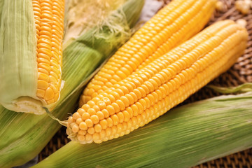 Fresh corn cobs on table, closeup