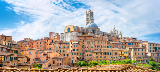 Fototapeta na wymiar Beautiful panorama of the historic city of the old city of Siena, Tuscany. Italy.