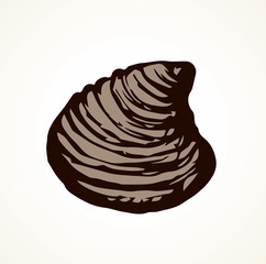 Oyster. Vector drawing