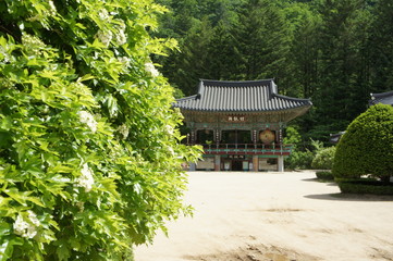 Woljeongsa Buddhist Temple