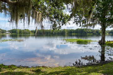 Wide shot of the shoreline of Henderson Lake in Inverness, Florida, featuring Spanish Moss hanging from waterside trees. Alligators are known to inhabit these waters.