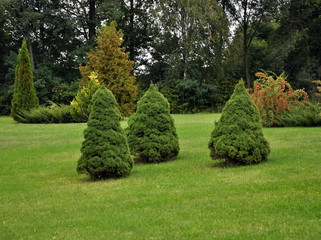 Landscaped park near the building