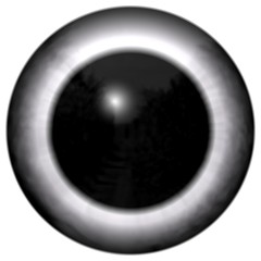White 3d eyeball texture, eye with black round, human eyeball with white background