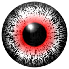 Black white red human and animal eyeball, eye texture white background