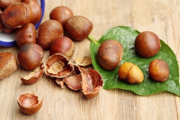 chestnuts seed on wood