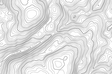 Vector contour topographic map background. Topography and geography map grid abstract backdrop. Business concept. Vector illustration - obrazy, fototapety, plakaty