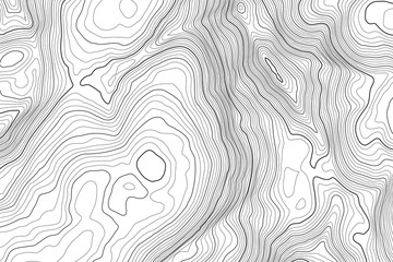 Vector contour topographic map background. Topography and geography map grid abstract backdrop. Business concept. Vector illustration