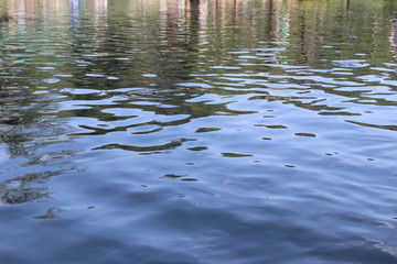 Calm lake water waves