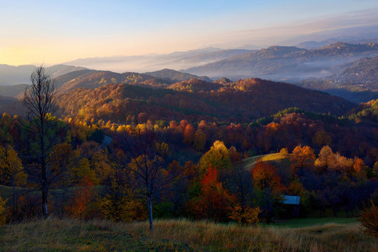 Colorful autumn landscape in romania