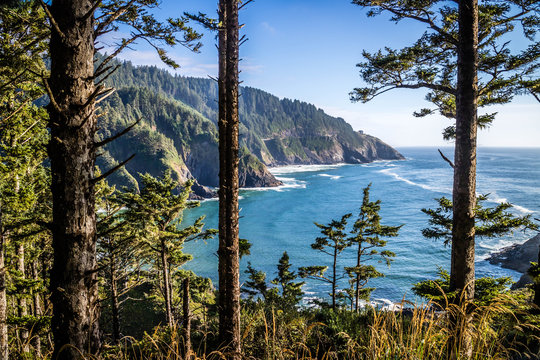 Heceta Head Lighthouse State Park Scenic Viewpoint in Florence, Oregon