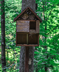 A wooden house for squirrels in the form of a birdhouse on a tree the forest.