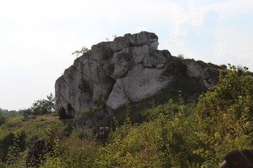 Naklejka premium Skałki Ogrodzieniec 