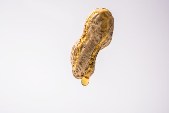 Peanut oil drop falling from whole raw groundnut or Moongfali hanging/flying  in the air