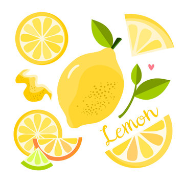 Lemon elements collection, isolated vector illustration, flat design