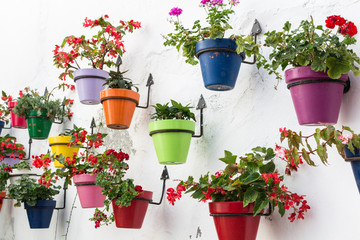 Coulorful Flowerpots of Andalusia