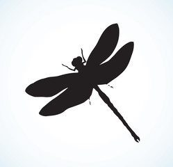 Dragonfly. Vector drawing