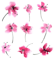 Red flowers set