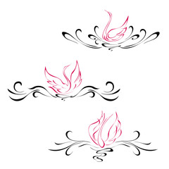 Fototapeta premium symmetrical ornament 5. symmetrical ornament with pink swans. SET