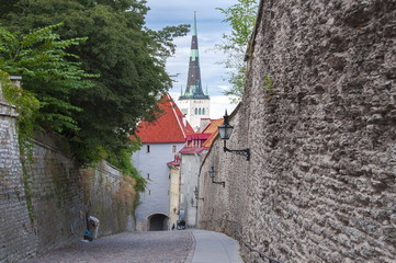 St. Olaf’s Church tower and Walls of Tallinn, Estonia