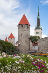 St. Olaf’s Church tower and Walls of Tallinn, Estonia