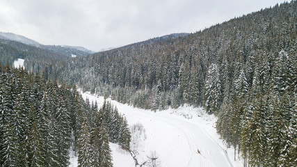 View of the snow-covered country road with pines
