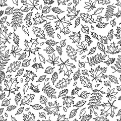 autumn leaf pattern