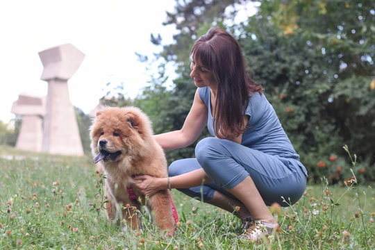 Woman play with chow chow dog in park. Woman and dog in park