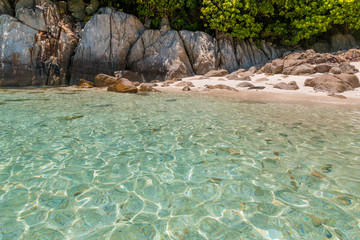 View of the rocky part of Rawa beach with its soft fine white sand, shady trees and fishes swimming in the glimmering shallow water of this beautiful island next to Perhentian Kecil in Malaysia.