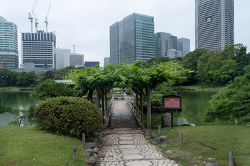 Fototapeta premium Jardines Hamarikyu, en la boca del río Sumida, y todo un oasis en medio de la ciudad de Tokyo, Japon