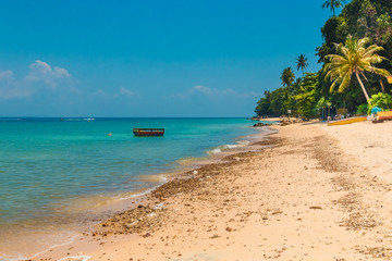 The southernmost beach on Perhentian Kecil, the gorgeous Petani Beach, is a quiet stretch of golden sand, turquoise water and palm trees in the state of Terengganu, Malaysia.