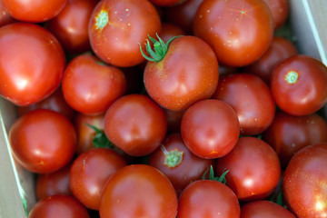 Picture of many tomatoes in wooden crate