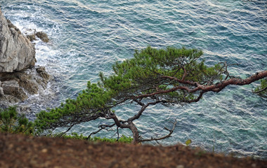 Beautiful landscape at the sea with rocks