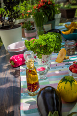 Colorful dining table, richly served for the summer garden party / Enjoying leisure time in nature. Healthy lifestyle concept