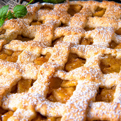 Tasty Apple pie with lattice upper crust