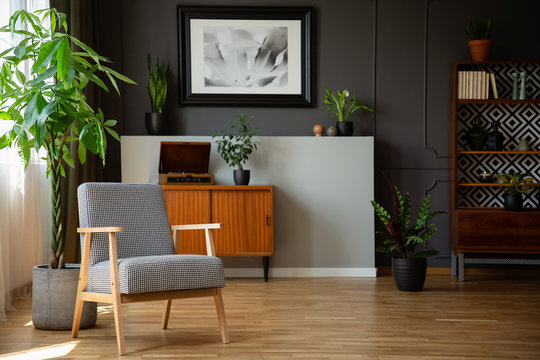 Patterned wooden armchair next to plant in grey living room interior with poster. Real photo