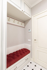 Interior design of a corridor or house entrance design