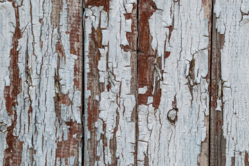 Rustic wood texture with cracked paint natural patterns surface as background.