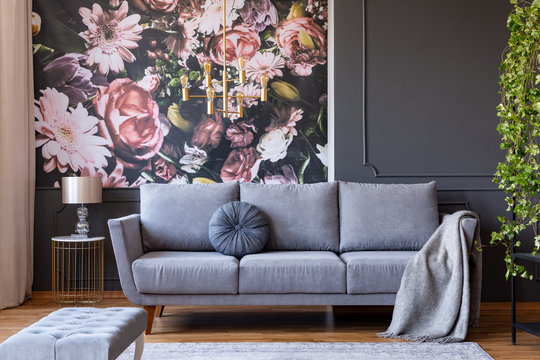 Cushion and blanket on a stylish sofa in a gray living room interior with ivy plant and flowers print on the wall