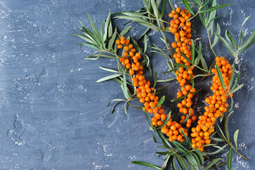 Obraz premium branch of sea-buckthorn on a concrete, black background. Food background.