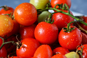 Bunch of fresh tomatoes in a plate on a concrete background