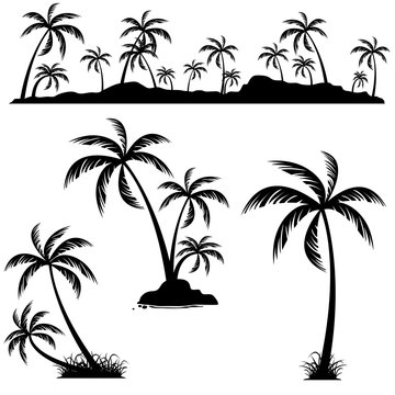 Set of palm trees. Coconut palm trees isolated on white background.