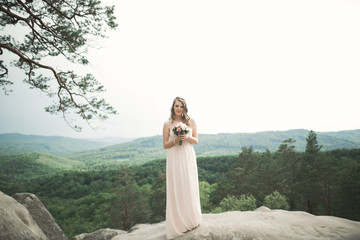 Beautiful bride posing near rocks against background the mountains