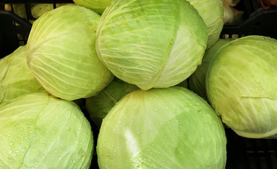 Fresh green cabbage in store, closeup