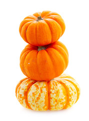 Autumn stack of harvest of pumpkins isolated on white background