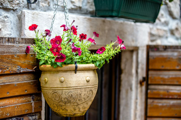 Fototapeta na wymiar Flowerpot with flowers is on the street of the ancient city 