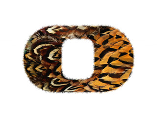 High resolution font made of pheasant feathers pattern isolated on white background.