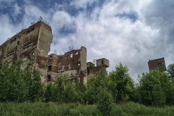 Miejscowość Walim na Śląsku, ruiny fabryki lnu zarośnięte drzewami, upadek starego przemysłu