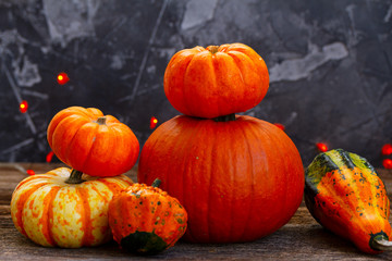Autumn harvest of pumpkins on wooden table